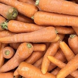 Carottes bio 2