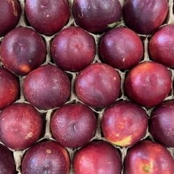 Nectarines Jaunes bio