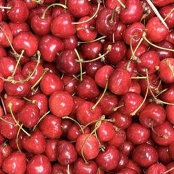 Cerises bio