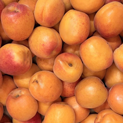 Abricots bio