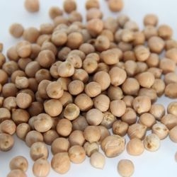 Pois Chiches bio 2