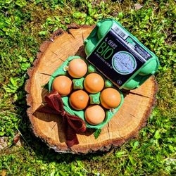 Boite de 6 oeufs bio