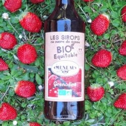 Sirop de Grenadine bio