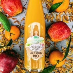 Jus multifruit bio