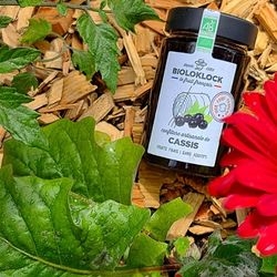 Confiture cassis bio