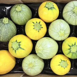 Courgettes rondes...