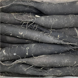 Radis noir long bio