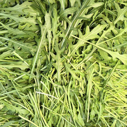 Salade Roquette bio -...