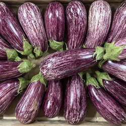 Aubergines graffitis bio