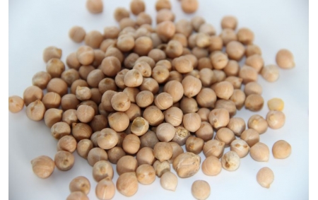 Pois Chiches bio