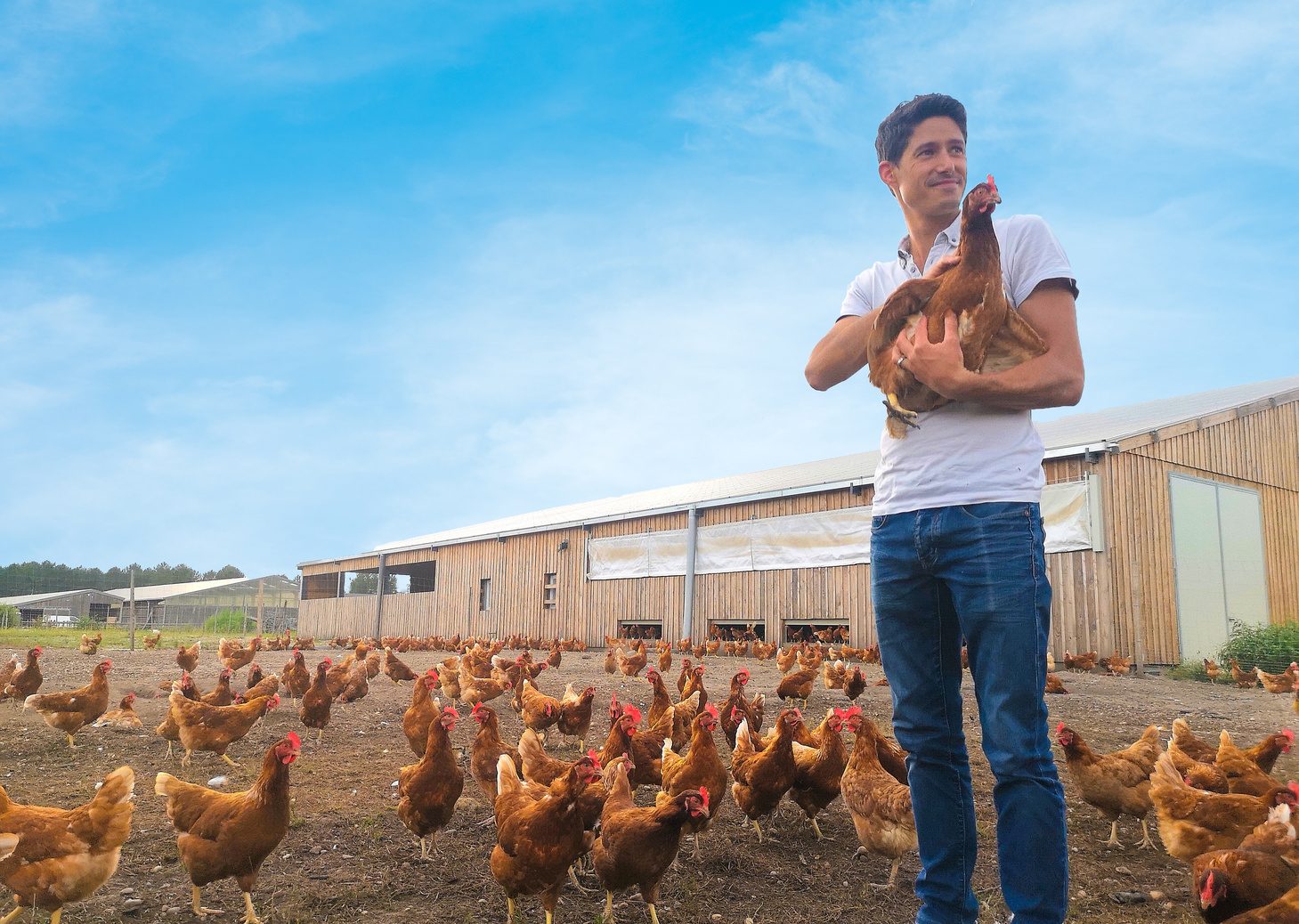 Producteur bio partenaire dans son élevage de poules en plein air