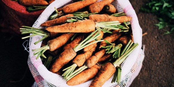 Carottes bio rôties au four